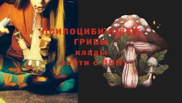 марки nbome Алексеевка